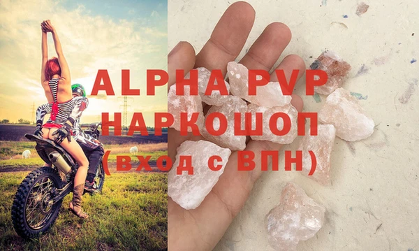 сатива Осташков