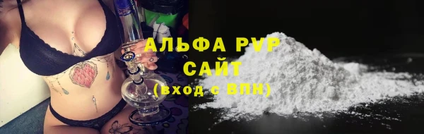 сатива Осташков