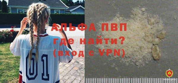 сатива Осташков