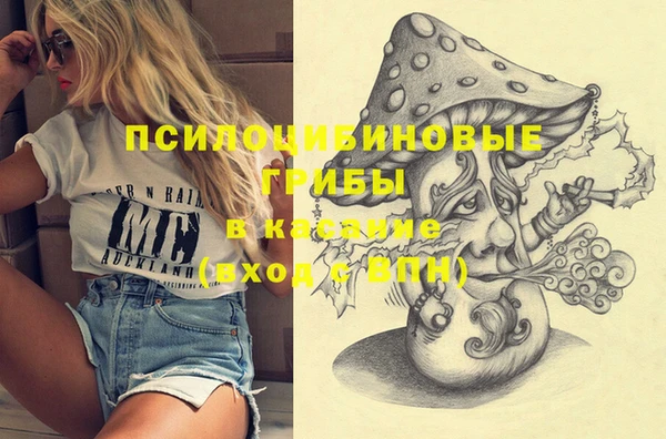 сатива Осташков
