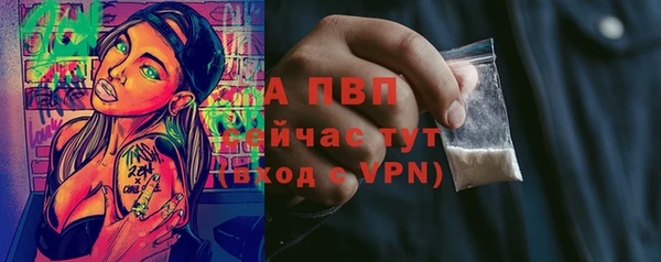сатива Осташков