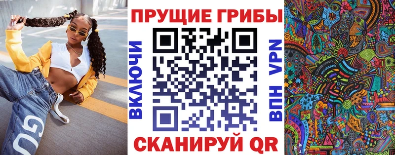 Купить где  Урень  Галлюциногенные грибы мицелий 